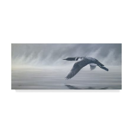 Wilhelm Goebel 'Misty Duck Flight' Canvas Art,8x19